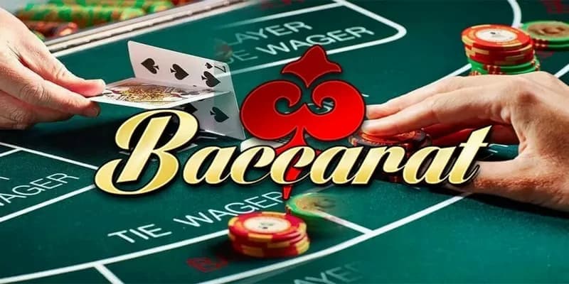 Các loại cược trong baccarat Leo88